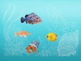 Coral Reef Fish CG002