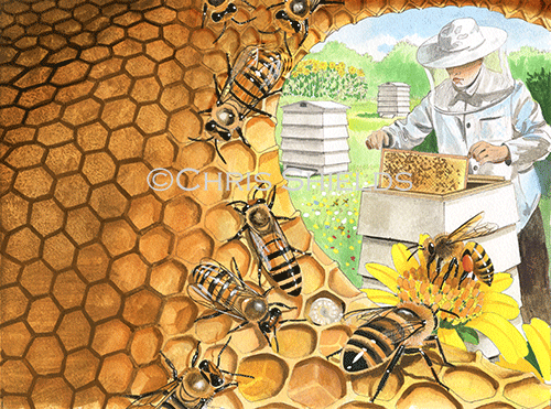 Bee Hive and Bee Keeper IH0020