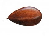 Beech Nut (Fagus sylvaticus) BT016