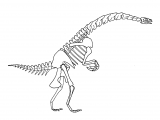 PD011 - Erlikosaurus