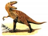 PD013 - Gigantosaurus