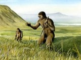 P011 - Homo erectus