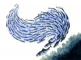 F137 - Mackerel shoal (Scomber scombrus)