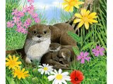 Otter (Lutra lutra) M002