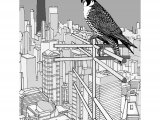Peregrin Falcon (Falco peregrinus) over Chicago BD0569