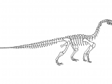 PD023 - Riojasaurus