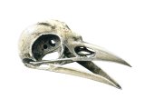Rook skull (Corvus frugilegus) BD0160