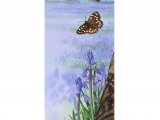 Speckled Wood Butterfly (Pararge aegeria) & Bluebell (Hyacinthoides non-scripta) IN001