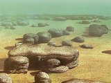 P027 - Stromatolites