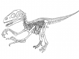 PD026 - Utahraptor