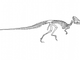 PD027 - Wannanosaurus