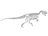 PD029 - Yangchuanosaurus