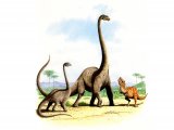 PD002 - Apatosaursus  & Allosaurus