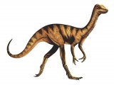 PD008 - Compsognathus