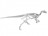 PD012 - Fabrusaurus