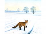 Fox (red) in Snow M001