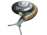 Glass Snail (Oxychilus draparnaudi) OS001