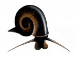 Great Ramshorn Snail (Planorbis planorbis) OS002