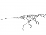 PD014 - Hererasaurus