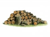Log Pile CG001
