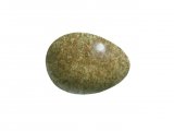 Meadow Pipit egg (Anthus pratensis) BD0214