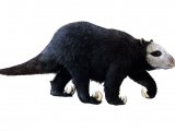 P015 - Megatherium (Giant Sloth)
