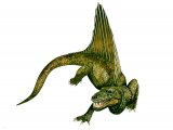 PD009 - Dimetrodon (Pelycosaur)