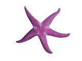 Starfish (Henricia oculata) OS003