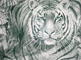 Tiger sitting (Panthera tigris) M005