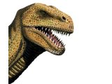 PD025 - Tyrannosaurus Rex