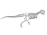 PD028 - Xenotarsosaurus