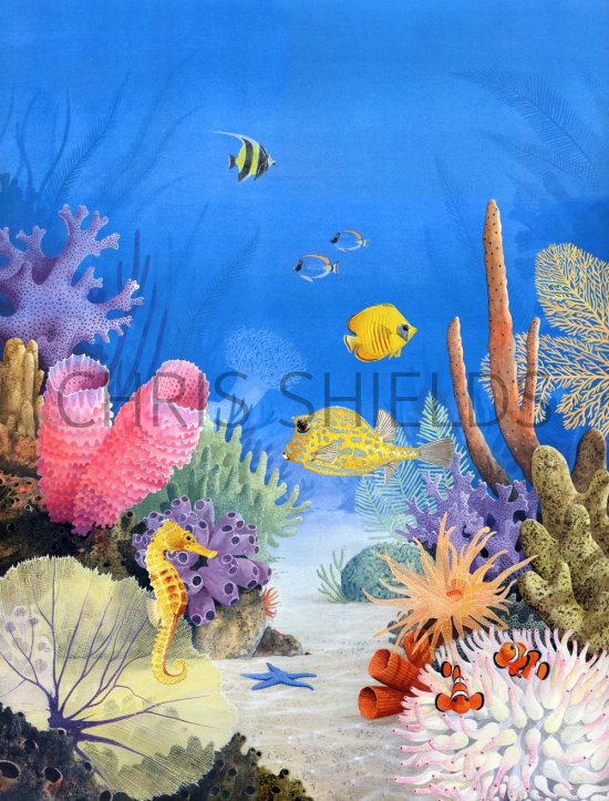 Illustration of Coral Reef (#1110)