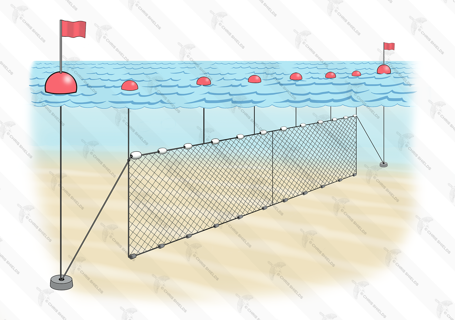 Illustration of Set Gillnet (#4757)