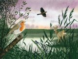 Illustration of Dawn (#2609)