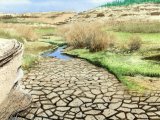 Illustration of Desert Landscape (USA) (#2312)