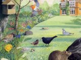 Illustration of Wildlife Garden (#2635)
