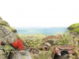 Illustration of Rock Pool (#2612)