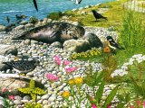 Illustration of Rocky Seashore (#1719)