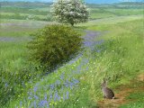 Illustration of Spring in the Peak District (#4088)