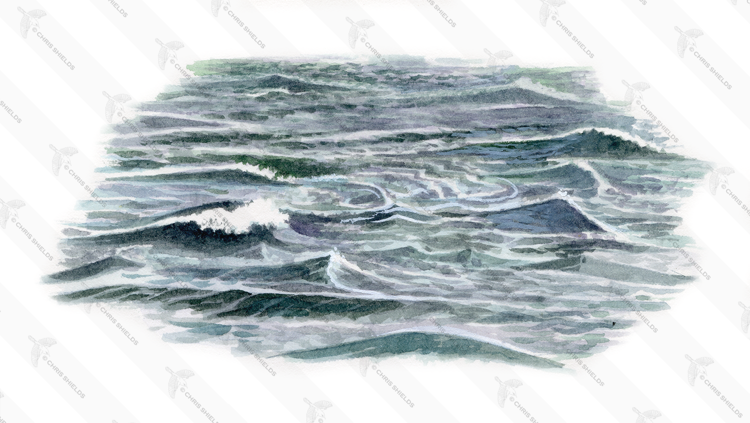 Illustration of Wave (Small Choppy) (#4775)